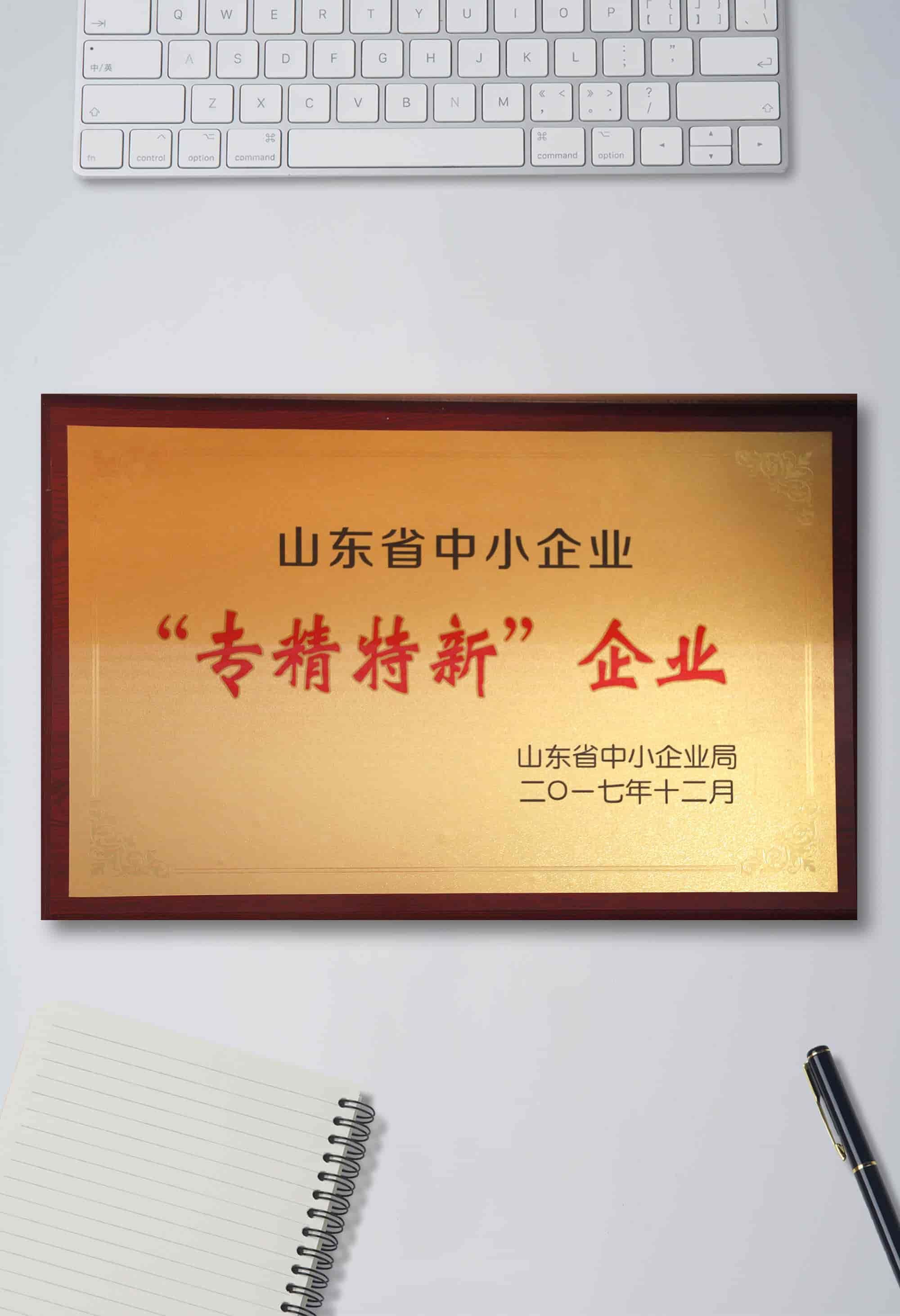 ”專精特新“企業(yè)